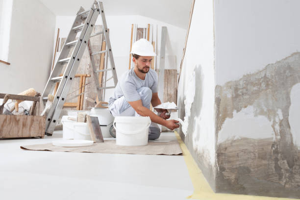 Reliable Meridian Hills, IN Dry wall and painting Solutions